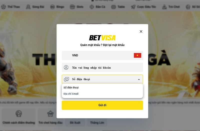 Đăng nhập Betvisa