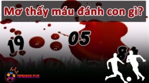 Giải mã giấc mơ thấy máu