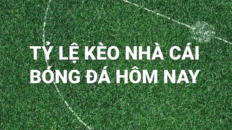 Nhà cái có chuyên gia nhận định kèo cược
